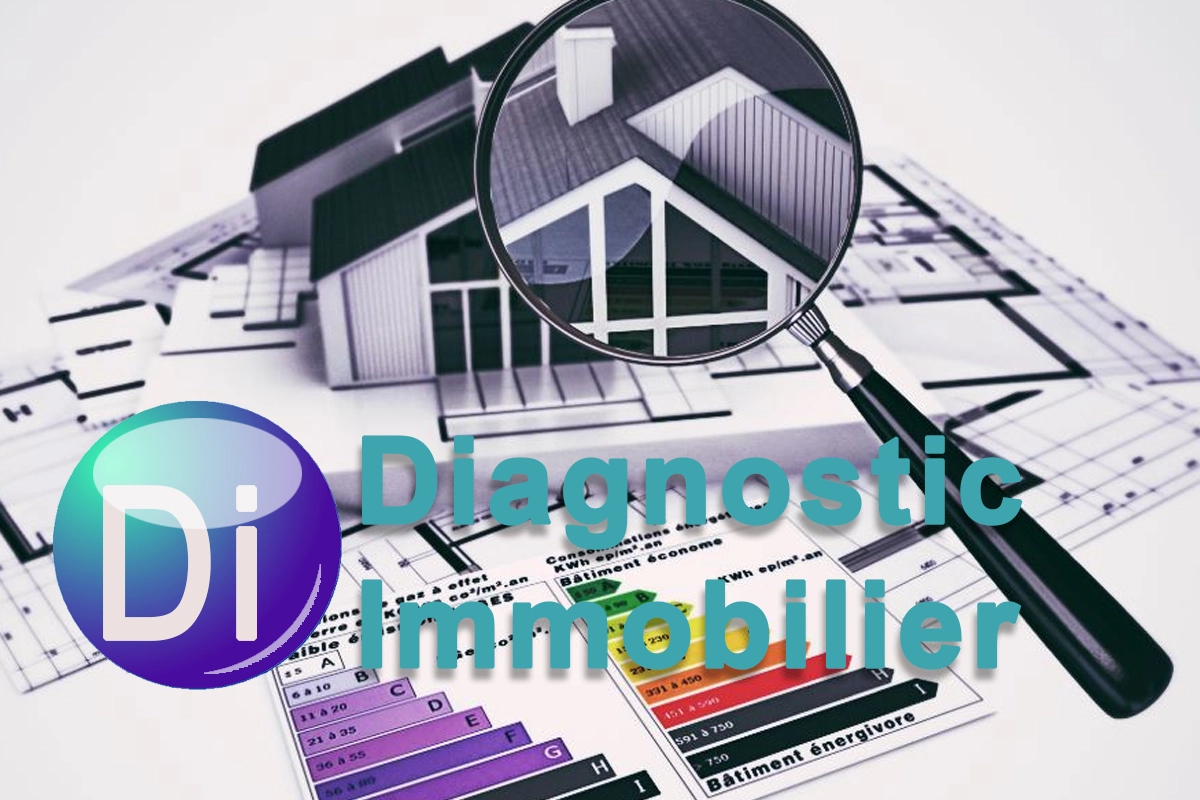 Diagnostic Immobilier